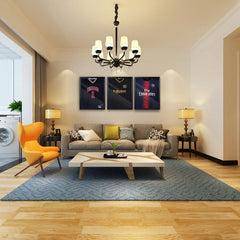 HAOYYE Shirt Display Frame with UV Resistant Acrylic and Hanger Wall Mounted for Baseball Basketball Football Hockey Shirts Black Sturdy Design Durable Multifunctional Modern Home Organizer Storage Solution