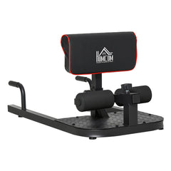 Haoyye 3-in-1 Padded Push Up Sit Up Deep Sissy Squat Machine, Home Gym Fitness Equipment