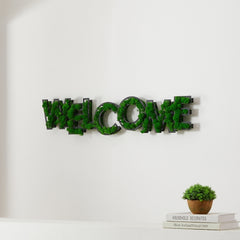 HAOYYE WELCOME Letter Art Moss Wall Decor Sturdy Space-Saving Heavy Duty Modern Design Adults Dorm Room Easy Assembly Bedroom Furniture