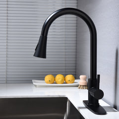 Haoyye Kitchen Faucet with Pull-Out Sprayer, Single Handle Stainless Steel Faucet with 360° Swivel High Arc Spout, Easy Installation and Maintenance, Anti-Corrosion and Space-Saving Design for Modern Kitchens, Utility Sinks, or Laundry Rooms
