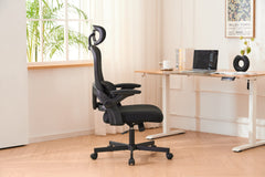 HAOYYE Ergonomic Mesh Office Chair with High Back Desk Design, 3D Armrests, Up And Down Lumbar Support, Swivel Computer Task Chair with Adjustable 2D Headrest and Tilt Function, Sturdy Space-Saving Heavy Duty Chair for Home and Office Use