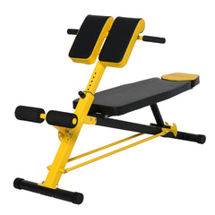 Haoyye Adjustable Hyper Extension Dumbbell Weight Bench with Foam Leg Holders, Multifunctional Exercise Station for Abs, Core, Arms, and Strength Workout