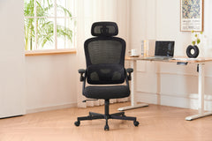 HAOYYE Ergonomic Mesh Office Chair with High Back Desk Design, 3D Armrests, Up And Down Lumbar Support, Swivel Computer Task Chair with Adjustable 2D Headrest and Tilt Function, Sturdy Space-Saving Heavy Duty Chair for Home and Office Use