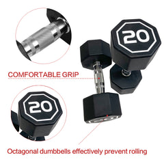 HAOYYE Premium Set of 2 20 lbs Octagonal Dumbbells with Large Number Markings and Hard Chrome Plated Handles Durable Non-Slip Weights for Strength Training Push-Ups Home Gym Workouts and Full Body Fitness