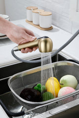 Haoyye Single-Handle Pull-Out Utility Sink Faucet, Stainless Steel High Arc Faucet with Dual Spray Function and 360° Swivel Spout, Easy DIY Installation, Spot-Resistant Finish, Modern Heavy Duty Design for Laundry Room, Kitchen, or Utility Sink