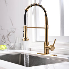 HAOYYE Commercial Brushed Nickel Kitchen Faucet with Pull Down Sprayer, Single Handle Single Lever Kitchen Sink Faucet with Deck Plate Sturdy Space-Saving Heavy Duty Modern Design Adults Dorm Room