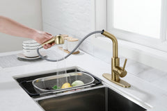 Haoyye Single-Handle Pull-Out Utility Sink Faucet, Stainless Steel High Arc Faucet with Dual Spray Function and 360° Swivel Spout, Easy DIY Installation, Spot-Resistant Finish, Modern Heavy Duty Design for Laundry Room, Kitchen, or Utility Sink
