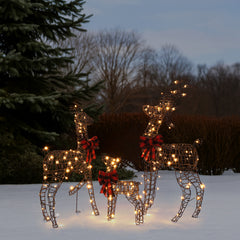 HAOYYE Family Elk LED Courtyard Decoration with Brown Rattan Style Frame, 30V 3.60W, 3-Piece Set, Perfect for Outdoor Holiday and Seasonal Displays, Durable and Reusable, Ideal for Garden, Patio, or Lawn Decoration