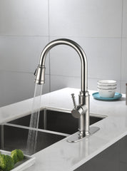HAOYYE Single Handle High Arc Pull Out Kitchen Faucet,Single Level Stainless Steel Kitchen Sink Faucets with Pull Down Sprayer Sturdy Space-Saving Heavy Duty Modern Design Adults Dorm Room Easy Assembly