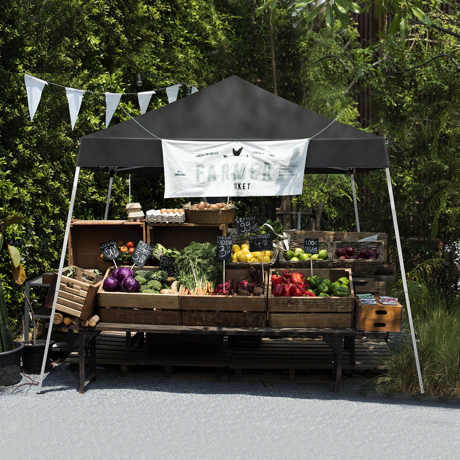 HAOYYE  Pop Up Canopy Tent, Outdoor Tent Canopy Foldable Portable Canopies for Camping, Patio, Easy Up Gazebo Canopy with Carry Bag Slant Legs