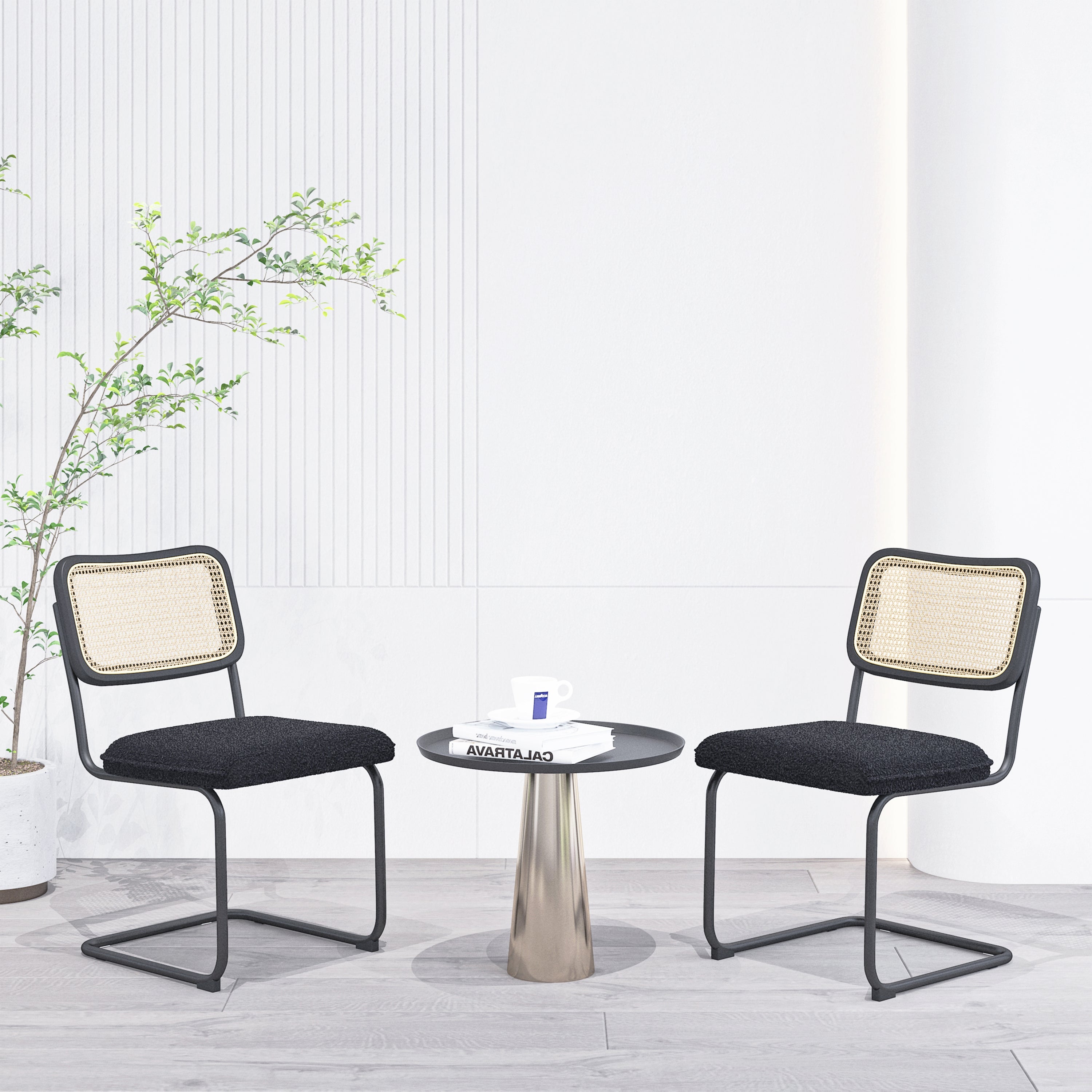 HAOYYE Set of 2, Teddy Velvet Dining Chair with High-Density Sponge, Rattan Chair for Dining room, Living room, Bedroom, Black Sturdy Space-Saving Heavy Duty Modern Design Adults Dorm Room Easy Assembly