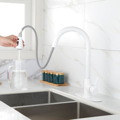 HAOYYE Kitchen Faucet with Pull Out Spraye Sturdy Space-Saving Heavy Duty Modern Design Adults Dorm Room Easy Assembly Bedroom Furniture