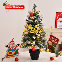 HAOYYE Premium Snow Flocked Pre-Lit Mini Christmas Tree with 30 Warm LED Lights, Small Tabletop Xmas Tree with Pot Base, Battery Operated for Home, Office, Store, Holiday Decorations, Festive Snowy Green