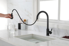 HAOYYE Kitchen Faucet with Pull Out Spraye Sturdy Space-Saving Heavy Duty Modern Design Adults Dorm Room Easy Assembly Bedroom Furniture