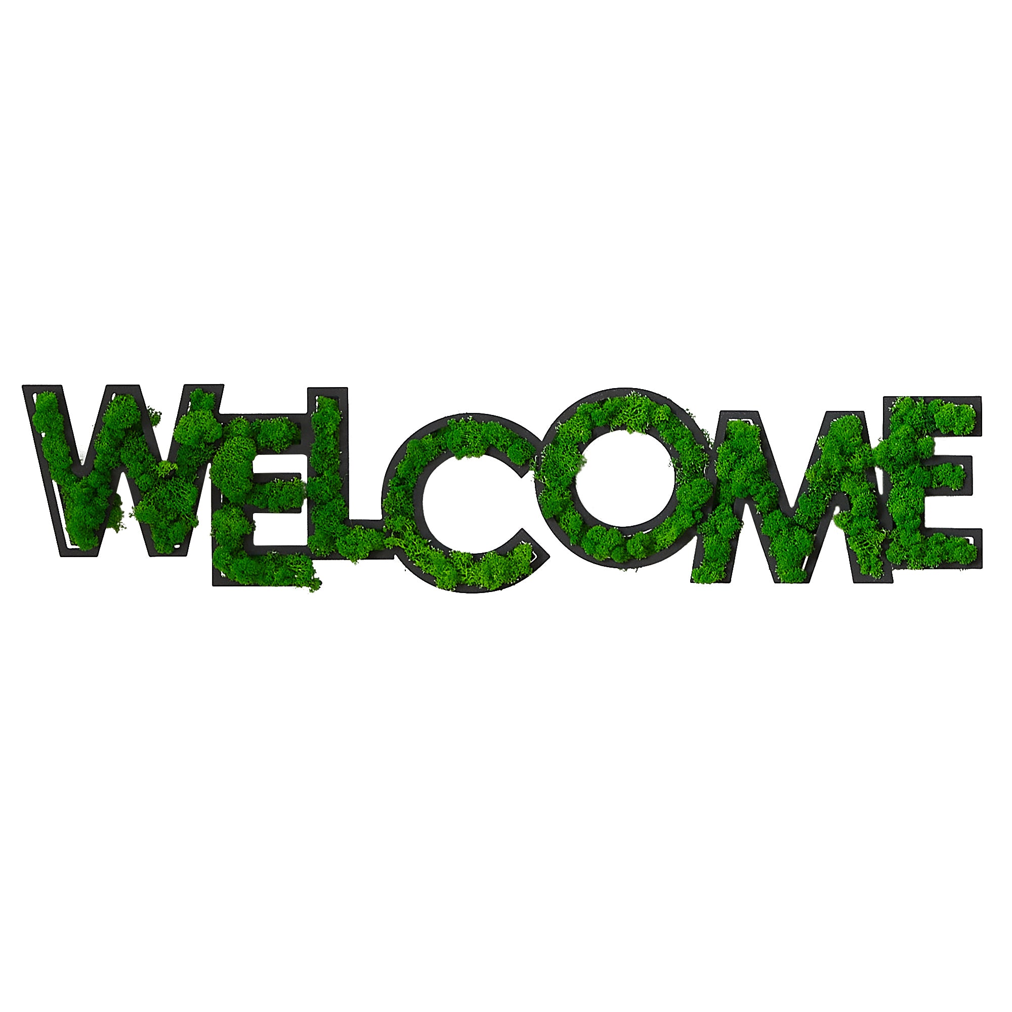 HAOYYE WELCOME Letter Art Moss Wall Decor Sturdy Space-Saving Heavy Duty Modern Design Adults Dorm Room Easy Assembly Bedroom Furniture
