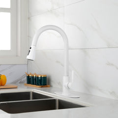 HAOYYE Kitchen Faucet with Pull Out Spraye Sturdy Space-Saving Heavy Duty Modern Design Adults Dorm Room Easy Assembly Bedroom Furniture